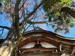 冨士山稲荷神社(長野県)