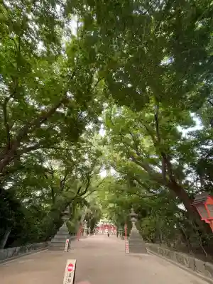 住吉神社の{uncategorized: "未分類", other: "その他", undefined: "問題あり", building: "その他建物", grave: "お墓", sacred_gate: "鳥居", guardian: "狛犬", statue: "像", buddha: "仏像", history: "歴史", nature: "自然", garden: "庭園", animal: "動物", pagoda: "塔", temizu: "手水舎", mountain_gate: "山門・神門", sanctuary: "本殿・本堂", subordinate: "末社・摂社", art: "芸術", scenery: "景色", jizo: "地蔵", ema: "絵馬", goshuin: "御朱印", omikuji: "おみくじ", items: "授与品その他", amulet: "お守り", goshuincho: "御朱印帳", eats: "食事", festival: "お祭り", votive_dance: "神楽", shichigosan: "七五三参", wedding: "結婚式", experience: "体験その他", initially: "初詣", around: "周辺", anti_infection: "感染症対策"}
