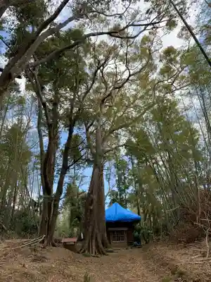 稲荷神社の自然