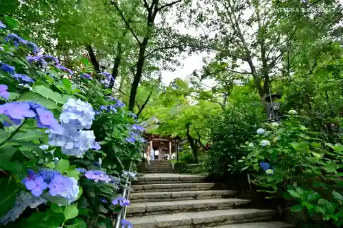 高幡不動尊　金剛寺のその他建物