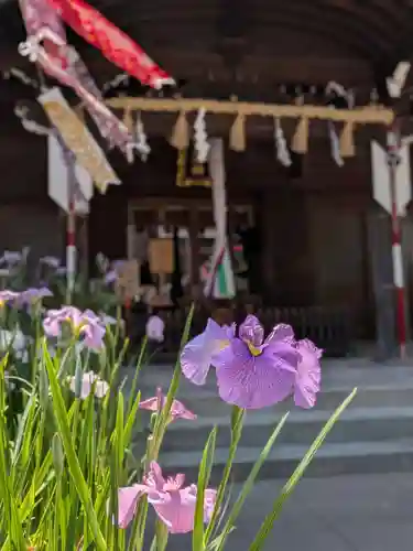 磐井神社(東京都)