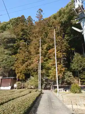 白光神社の周辺