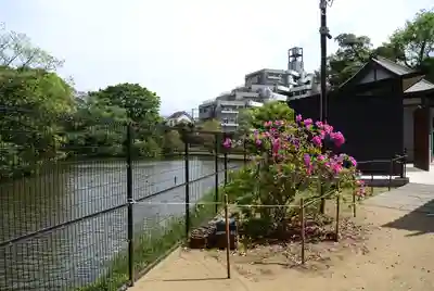 菊田神社(千葉県)