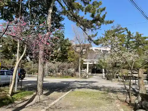 長浜八幡宮の景色