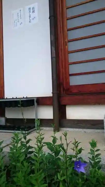 晴明神社のその他建物