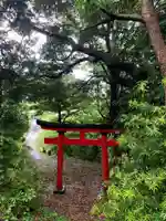 愛宕神社の鳥居