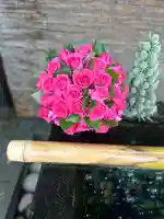 上尾御嶽神社の手水舎