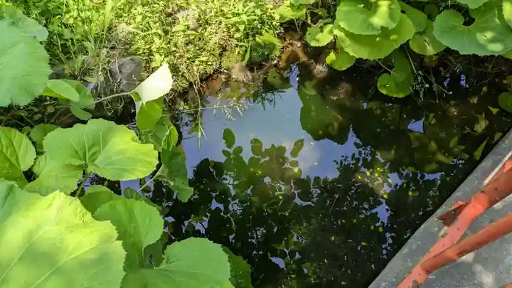 浅草観音寺の庭園