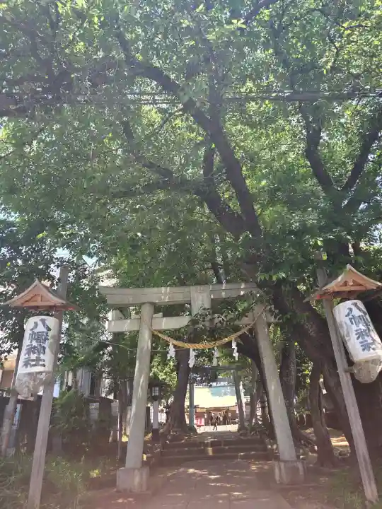 下高井戸八幡神社の{uncategorized: "未分類", other: "その他", undefined: "問題あり", building: "その他建物", grave: "お墓", sacred_gate: "鳥居", guardian: "狛犬", statue: "像", buddha: "仏像", history: "歴史", nature: "自然", garden: "庭園", animal: "動物", pagoda: "塔", temizu: "手水舎", mountain_gate: "山門・神門", sanctuary: "本殿・本堂", subordinate: "末社・摂社", art: "芸術", scenery: "景色", jizo: "地蔵", ema: "絵馬", goshuin: "御朱印", omikuji: "おみくじ", items: "授与品その他", amulet: "お守り", goshuincho: "御朱印帳", eats: "食事", festival: "お祭り", votive_dance: "神楽", shichigosan: "七五三参", wedding: "結婚式", experience: "体験その他", initially: "初詣", around: "周辺", anti_infection: "感染症対策"}