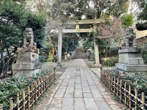 赤坂氷川神社(東京都)