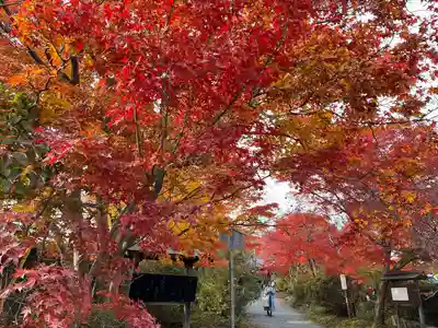 常照寺(京都府)