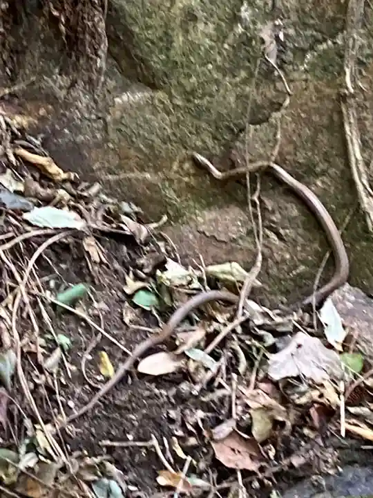 出釈迦寺奥の院 捨身ヶ嶽(香川県)