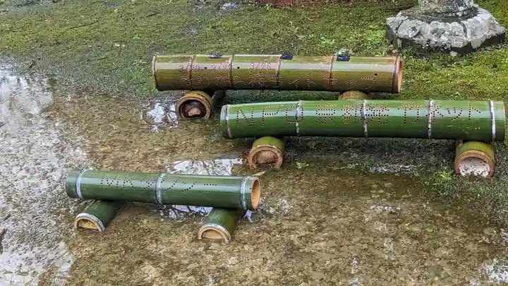 十輪寺(京都府)