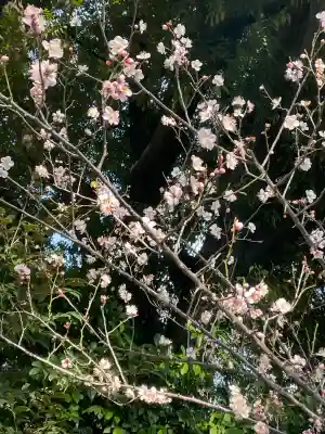 愛宕神社の{uncategorized: "未分類", other: "その他", undefined: "問題あり", building: "その他建物", grave: "お墓", sacred_gate: "鳥居", guardian: "狛犬", statue: "像", buddha: "仏像", history: "歴史", nature: "自然", garden: "庭園", animal: "動物", pagoda: "塔", temizu: "手水舎", mountain_gate: "山門・神門", sanctuary: "本殿・本堂", subordinate: "末社・摂社", art: "芸術", scenery: "景色", jizo: "地蔵", ema: "絵馬", goshuin: "御朱印", omikuji: "おみくじ", items: "授与品その他", amulet: "お守り", goshuincho: "御朱印帳", eats: "食事", festival: "お祭り", votive_dance: "神楽", shichigosan: "七五三参", wedding: "結婚式", experience: "体験その他", initially: "初詣", around: "周辺", anti_infection: "感染症対策"}