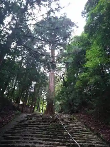 元伊勢内宮 皇大神社の自然