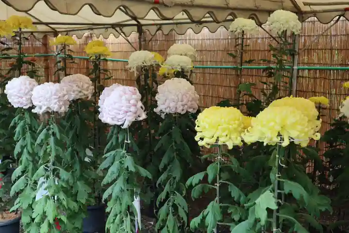 高麗神社のその他建物