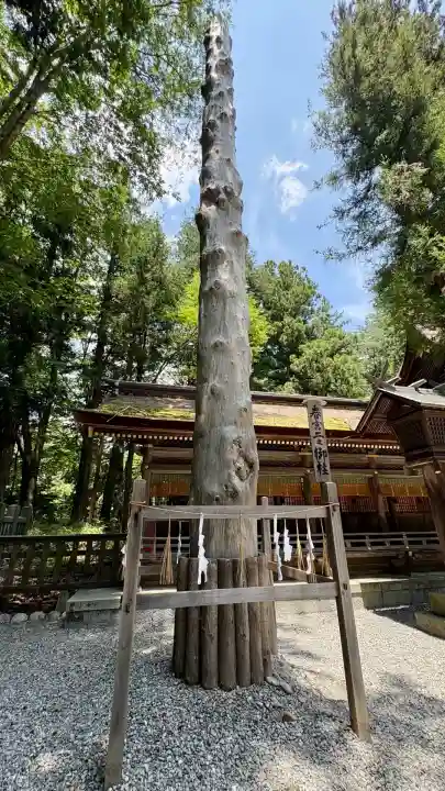 諏訪大社下社春宮(長野県)