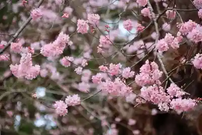 田村神社の自然