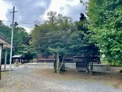 関間神明神社(埼玉県)
