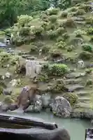 智積院(京都府)