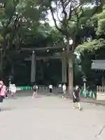 明治神宮(東京都)