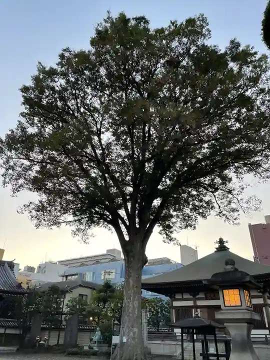 總持寺(東京都)