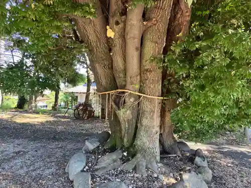 東海市熊野神社(愛知県)