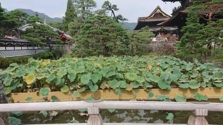 善光寺大勧進(長野県)