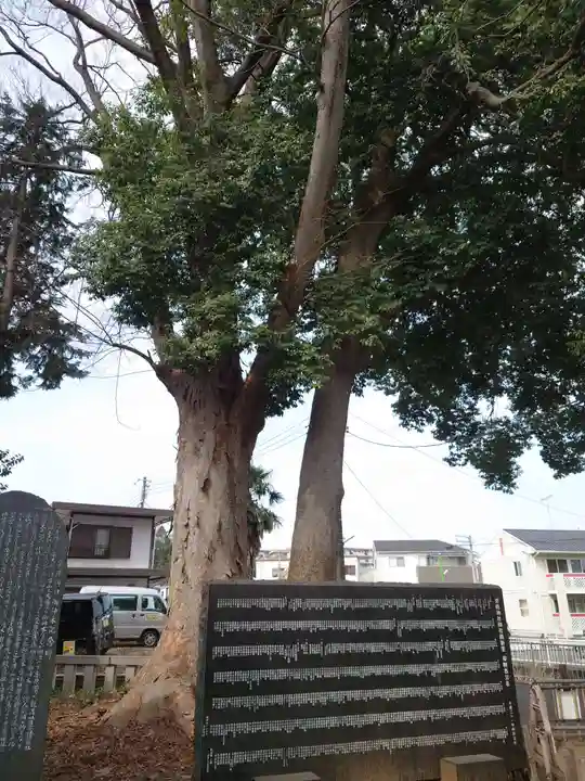 栗原神社(神奈川県)