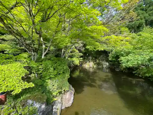醍醐寺(京都府)
