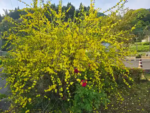地蔵院 (室生寺塔頭)(奈良県)