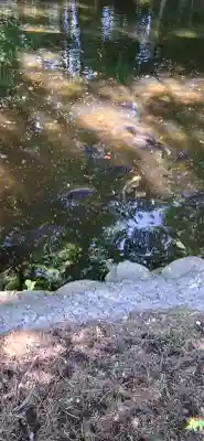白石神社(北海道)