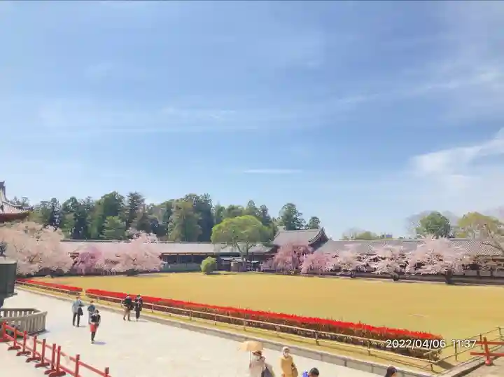 東大寺(奈良県)