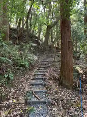 月夜見神社の自然