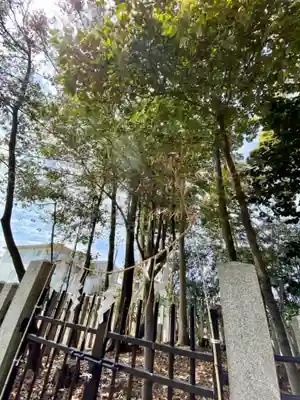 許波多神社（小幡東中鎮座）の自然