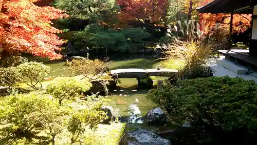 慈照寺（慈照禅寺・銀閣寺）の庭園