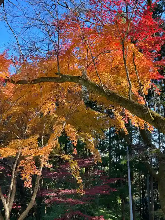 慈光寺(埼玉県)