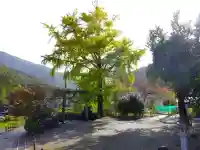 白山神社(滋賀県)