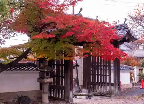 離宮八幡宮(京都府)