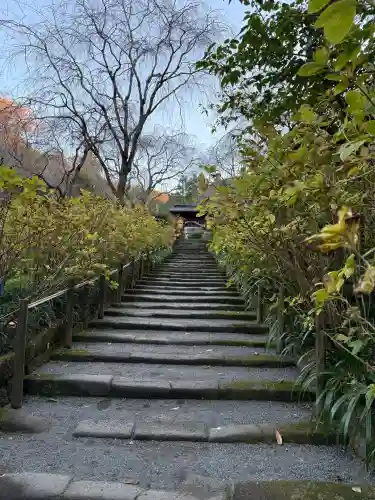 明月院の{uncategorized: "未分類", other: "その他", undefined: "問題あり", building: "その他建物", grave: "お墓", sacred_gate: "鳥居", guardian: "狛犬", statue: "像", buddha: "仏像", history: "歴史", nature: "自然", garden: "庭園", animal: "動物", pagoda: "塔", temizu: "手水舎", mountain_gate: "山門・神門", sanctuary: "本殿・本堂", subordinate: "末社・摂社", art: "芸術", scenery: "景色", jizo: "地蔵", ema: "絵馬", goshuin: "御朱印", omikuji: "おみくじ", items: "授与品その他", amulet: "お守り", goshuincho: "御朱印帳", eats: "食事", festival: "お祭り", votive_dance: "神楽", shichigosan: "七五三参", wedding: "結婚式", experience: "体験その他", initially: "初詣", around: "周辺", anti_infection: "感染症対策"}