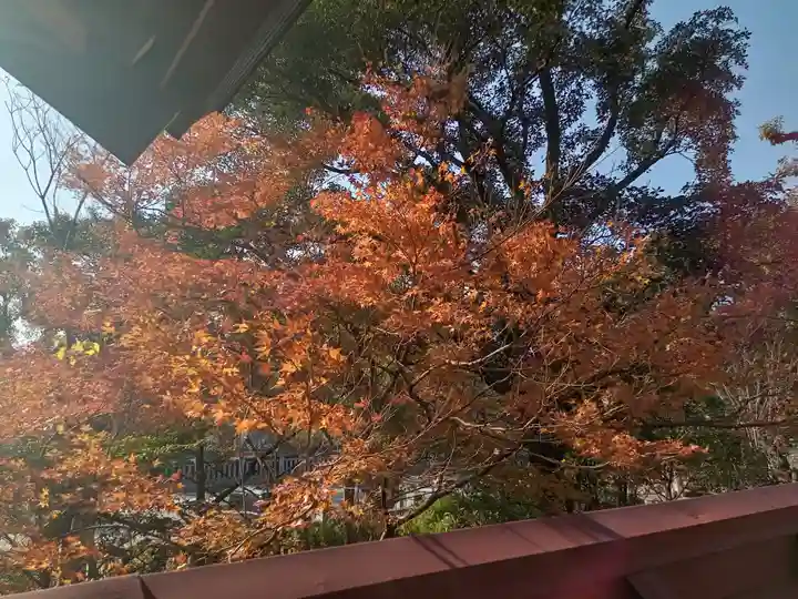 和泉國一之宮 大鳥大社(大阪府)