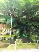 慈照寺(慈照禅寺・銀閣寺)(京都府)