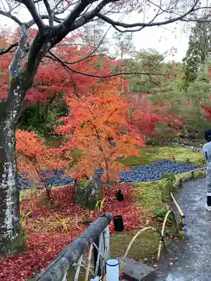 宝厳院(京都府)