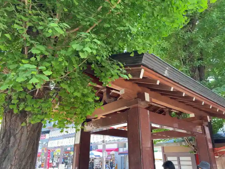 とげぬき地蔵尊 高岩寺(東京都)