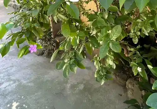 銀杏岡八幡神社(東京都)