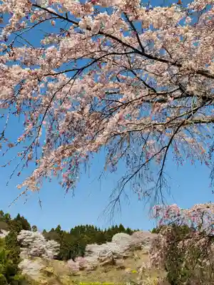 上石不動堂の自然