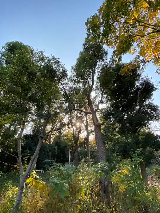 布多天神社の自然