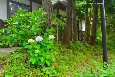 岩殿寺(神奈川県)
