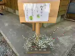 須山浅間神社(静岡県)