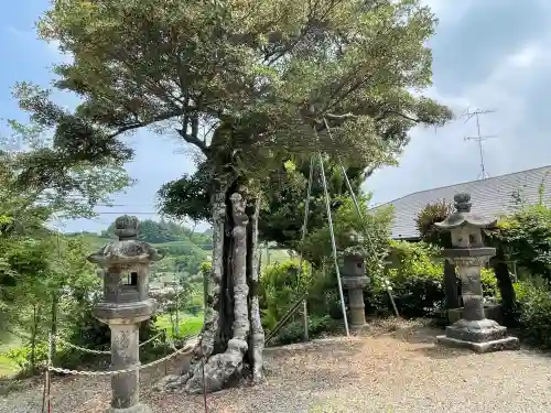 薬師寺(奈良県)